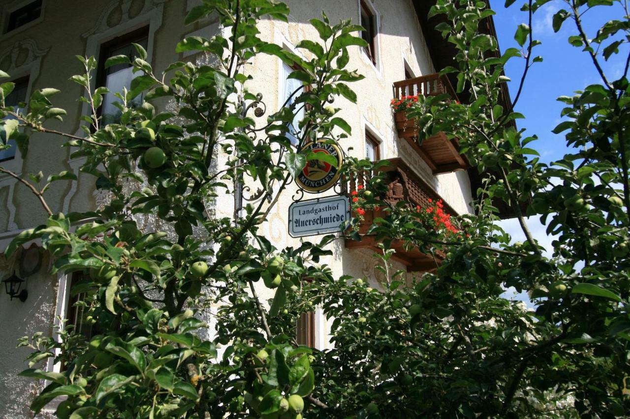 Landgasthof Auerschmiede Иршенберг Экстерьер фото